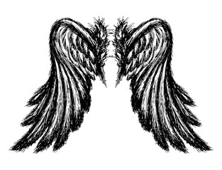Wings isolated on white background,