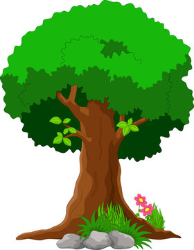 Vector illustration of tree cartoon on white background