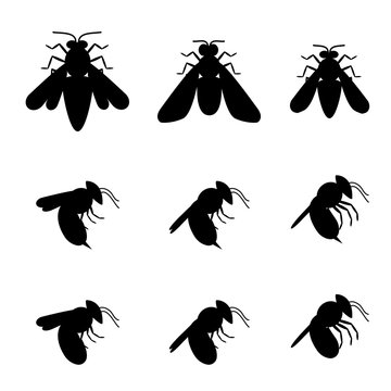 Bee icons in silhouette, Top and side view
