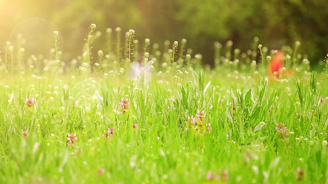  padre gioca con figli in una splendida giornata primaverile