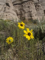 Kasha-Katuwe Tent Rocks, National Monument, New Mexico. Southwest of Sante Fe.