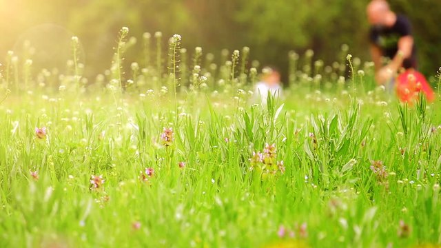  padre gioca con figli in una splendida giornata primaverile-seconda parte