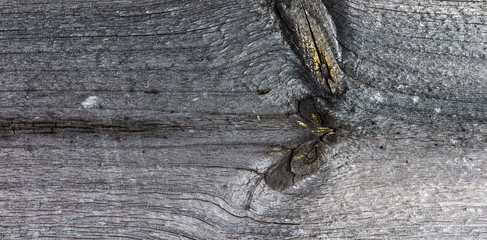 Grey wooden background