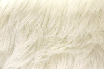 White Faux Fur Fabric Background