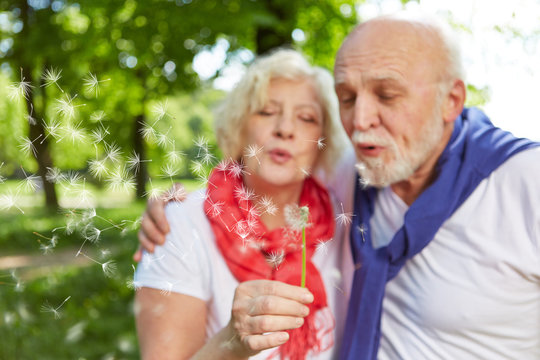 Paar Senioren pustet auf Pusteblume