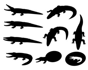 Set of crocodile silhouettes on white, vector