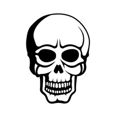 Human Skull on White Background. Vector
