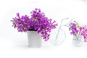 Fototapeta premium lilac flowers on a white background decorated with small bike