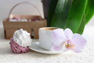 marshmallows handmade white and pink