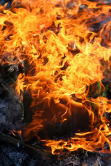 Hot Fire Flames Burning Wood