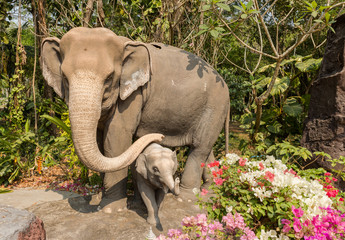 Fototapeta premium Elephant and baby elephant
