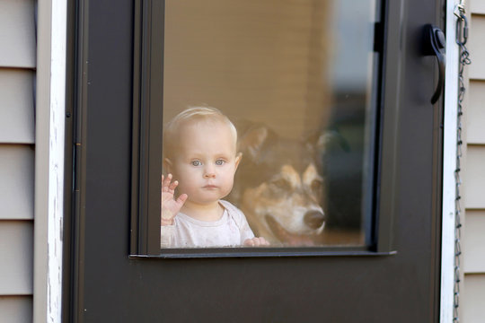 Baby And Pet Dog Waiting At Door Looking Out Window