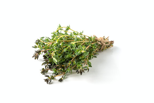 bunch of thyme isolated on white background