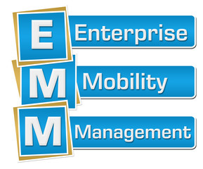 EMM - Enterprise Mobility Management Blue Vertical 