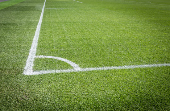 natural green soccer field with white lines