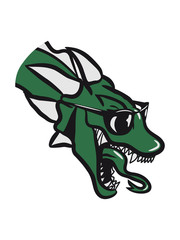 Dragon wings cool fairy dangerous sunglasses head