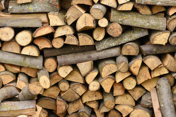 A pile of firewood stacked in natural light