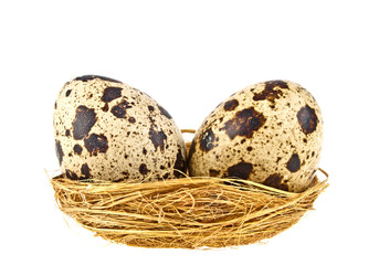 Quail eggs in a brown nest on white background