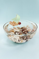 boat and shells in a bowl