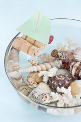 boat and shells in a bowl
