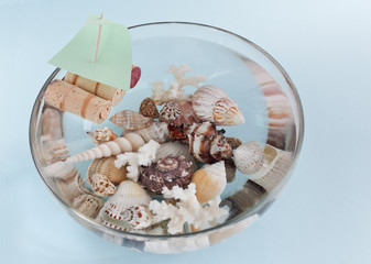 boat and shells in a bowl