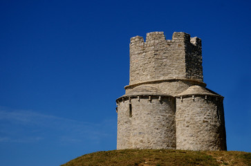 Fototapeta na wymiar Tower castle 