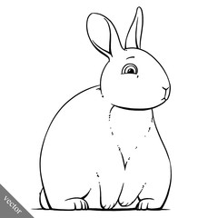 funny cartoon cute rabbit illustration