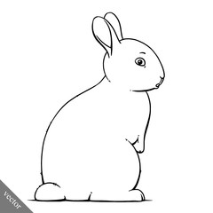 funny cartoon cute rabbit illustration