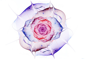 Fototapeta premium Gentle and soft abstract fractal flower