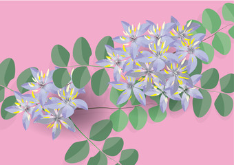 lignum vitae flowers background for card ,blue flowers background,thai nation flowers