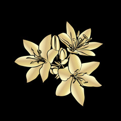 Fototapeta premium Golden silhouette Lily.
