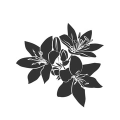 Obraz premium Black silhouette Lily.