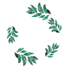 Laureate wreath in trendy watercolour style with green splashing. Laurel wreath branches for wedding card. Template wedding invitation. Bay leaf garland illustrations. Bays for cooking class banner.