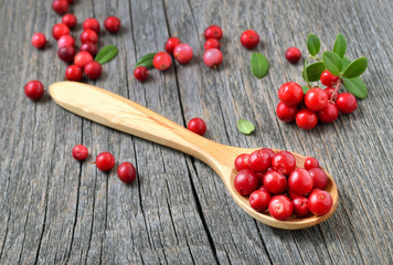 Cowberry in the wooden spoon on rustic table.