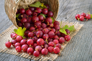 Ripe red gooseberries in  basket on wooden table