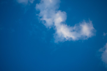 Fototapeta na wymiar Fluffy Cloud with Blue Sky