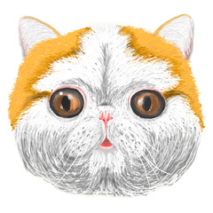 Sketch of a stylized kitten's face, smiling, friendly, young, cute cat, peach colored, with brown...