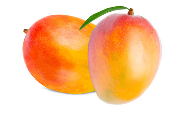Mango isolated on white
