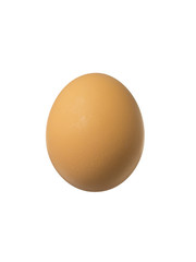 close-up of a brown egg.