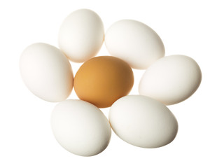 brown egg surrounded by white eggs on white.