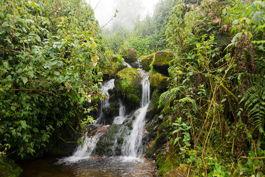 waterfall in ruwenzori mountains, uganda © Nikolai Link