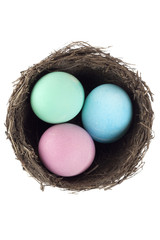 easter eggs in a bird's nest