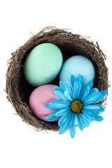 blue daisy and easter eggs