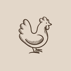 Hen sketch icon.