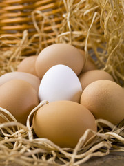 white egg and brown eggs.
