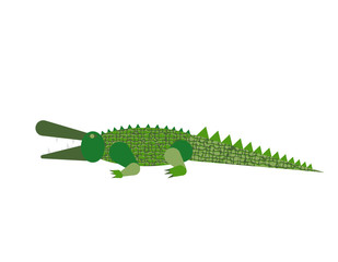 Abstract crocodile isolated on white background. Vector illustra