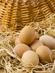brown eggs on hay.