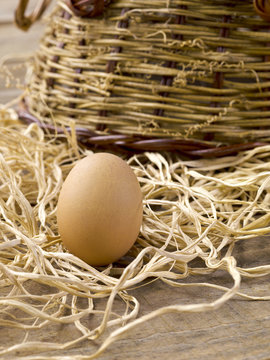 image of brown egg