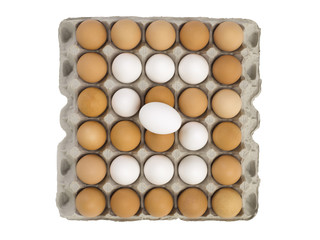 letter "s" image made of eggs