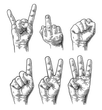 Set of gestures of hands in a vector. Male Hand sign. Fist, Middle finger up, Rock and Roll, counting hand sign from one to three.  Vector vintage engraved illustration isolated on white background